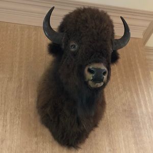 Meet your Posher, Travis